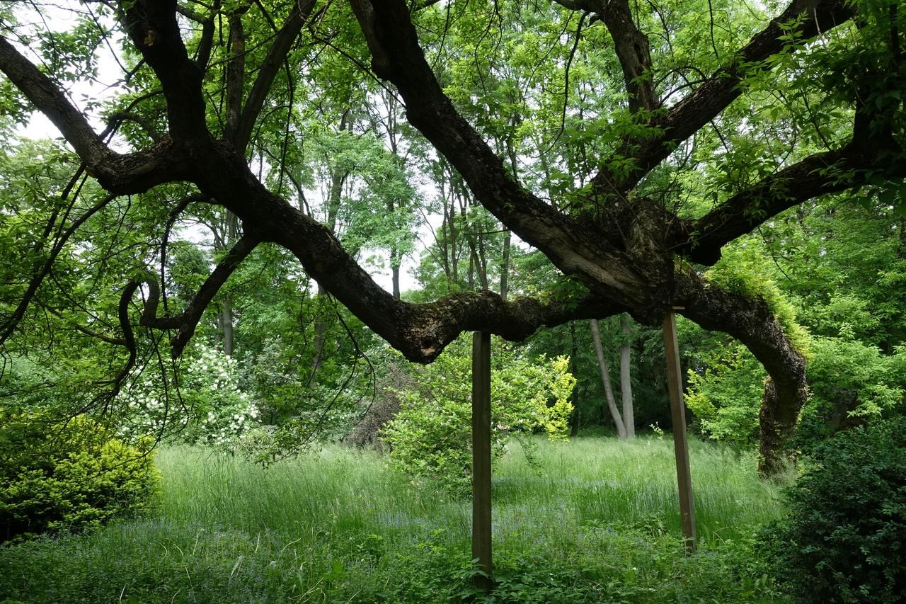 Загородные дома Dom Łowczego Gnoyna Park Радзеёвице