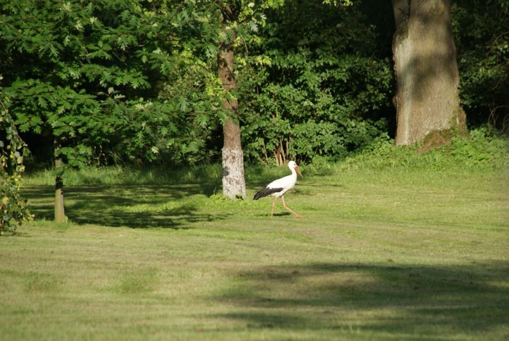 Загородные дома Dom Łowczego Gnoyna Park Радзеёвице