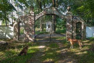 Загородные дома Dom Łowczego Gnoyna Park Радзеёвице Дом для отпуска-35